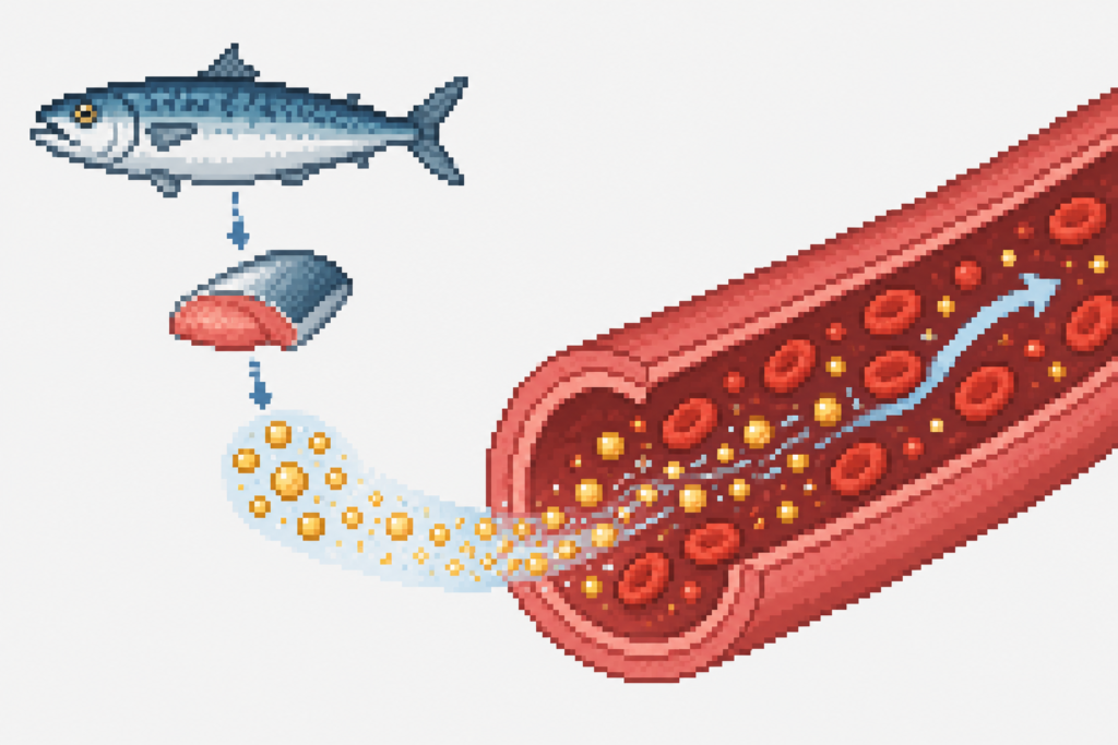 青魚に含まれるEPA・DHAが血液をサラサラにする働きをイメージした図解